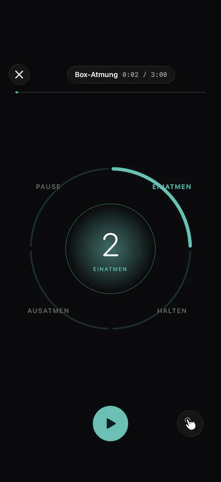 Sylph: the breath pacer showing a breathing rhythm